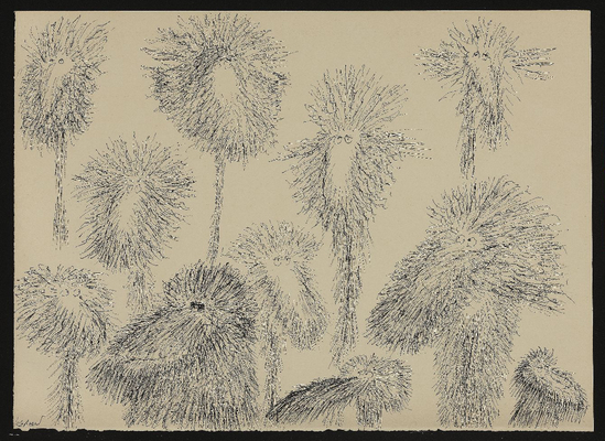 The Sordid Perils The Sordid Perils